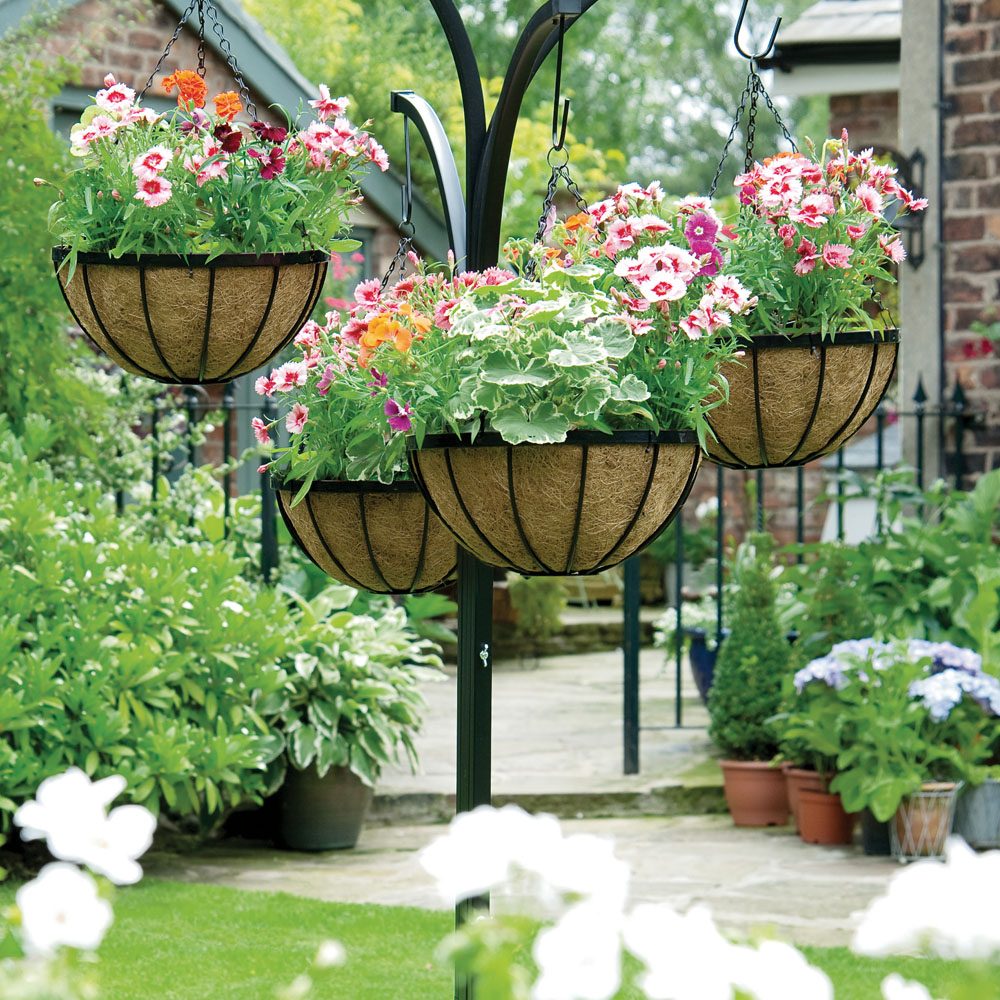 GEP 8″ Flowers Hanging Baby Basket Metal frame coco coir Liner for Outdoor Garden & Home Décor Black (view 5)