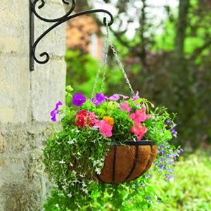 GEP Wall Bracket S2 Hook for Hanging Basket/Pots/lights/lamps/Birds nest (view 2)
