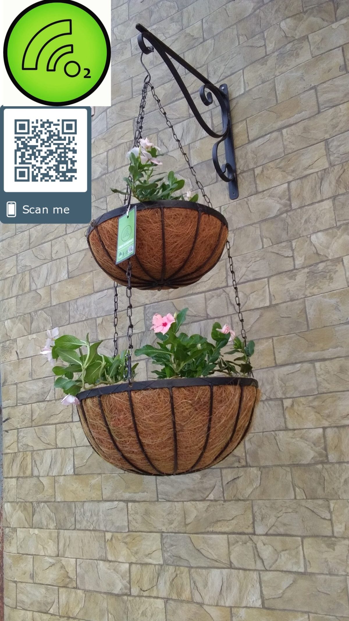 GEP Double Hanging Baskets with Coco liner Metal frame Color Black (view 7)