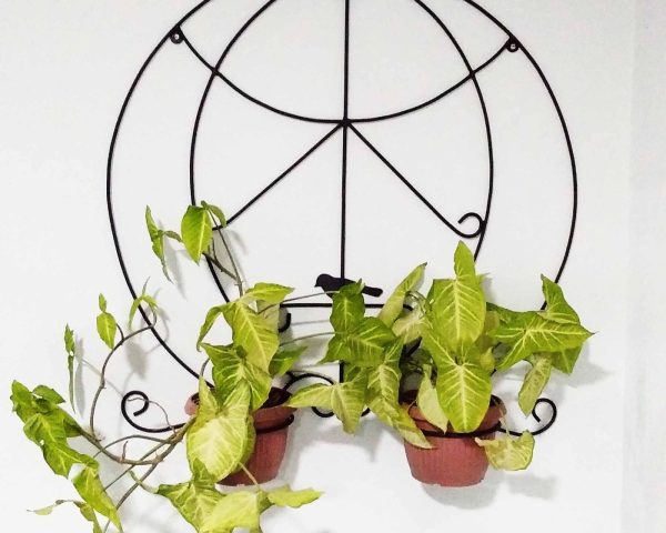 Balcony planting scheme