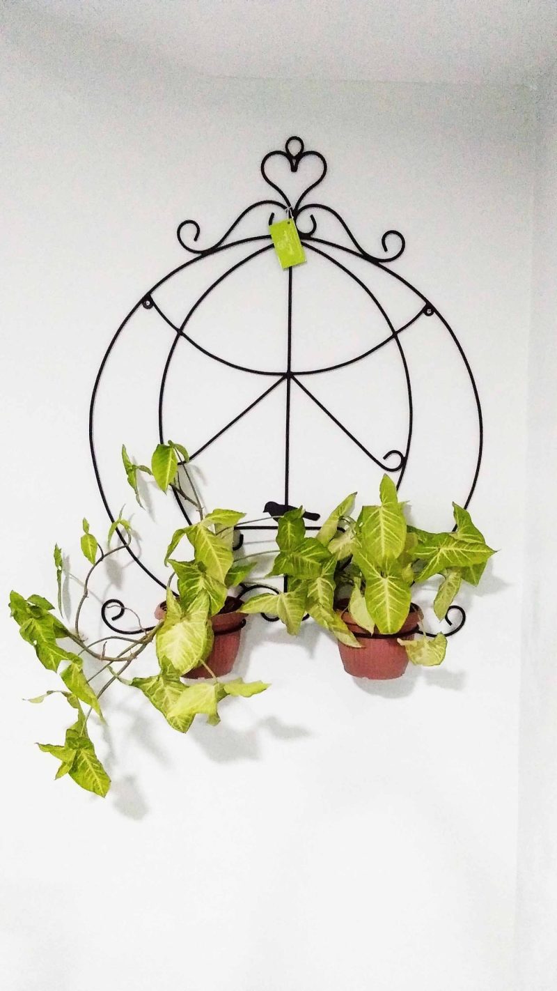 Balcony railing planted with metal frames and flowering pots