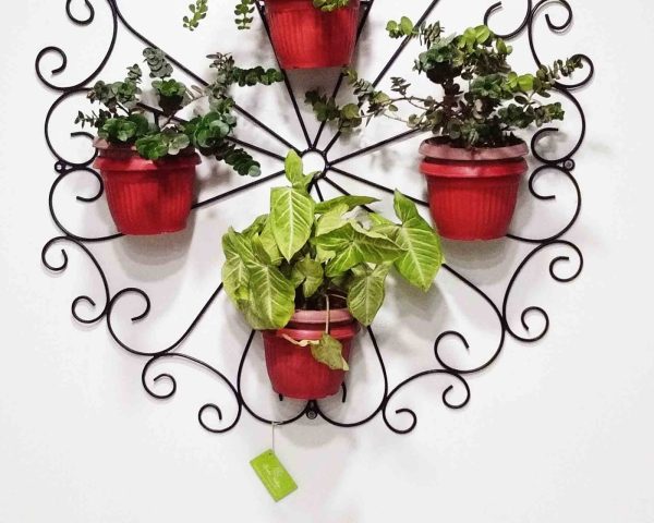 Wall-mounted basket display
