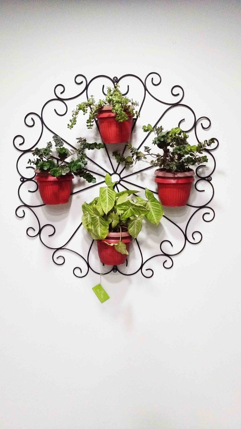 Row of wall-mounted hanging baskets in flower against a garden wall