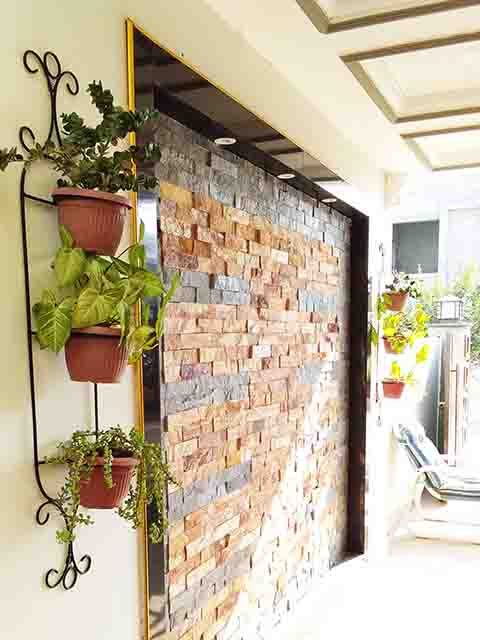 Vertical gardening frame planted with trailing greenery